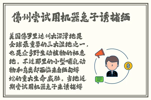 坐在学霸的棍子上背单词